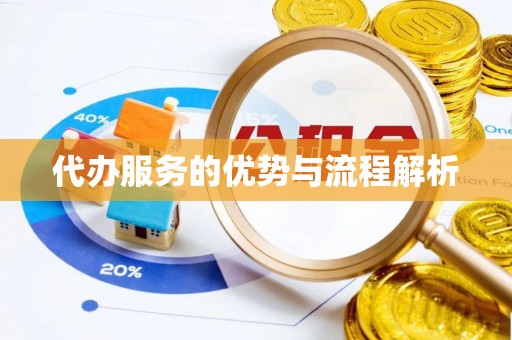 南雄代办服务的优势与流程解析