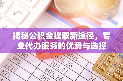 南雄揭秘公积金提取新途径，专业代办服务的优势与选择