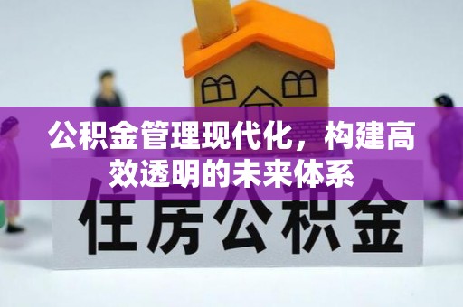 南雄公积金管理现代化，构建高效透明的未来体系