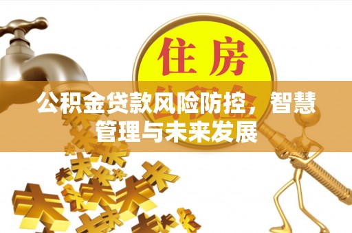 南雄公积金贷款风险防控，智慧管理与未来发展