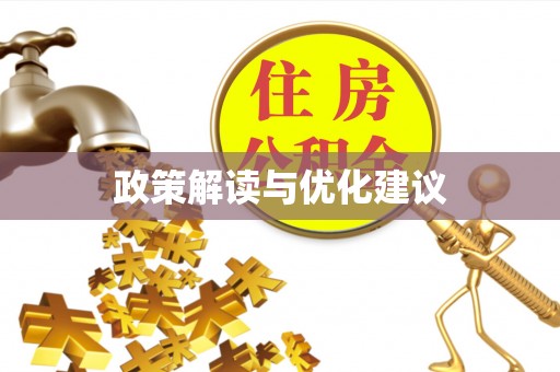 南雄政策解读与优化建议