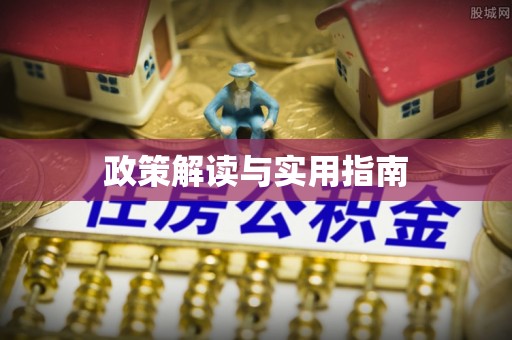 南雄政策解读与实用指南