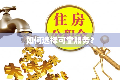 南雄如何选择可靠服务？