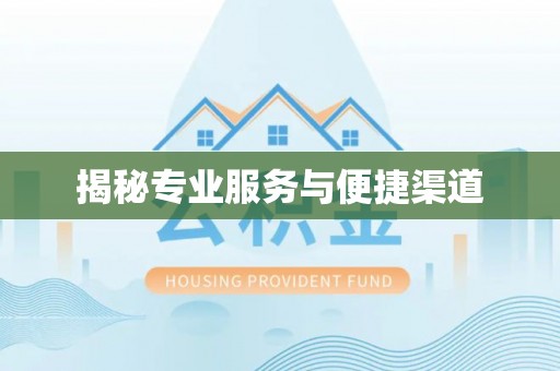 南雄揭秘专业服务与便捷渠道