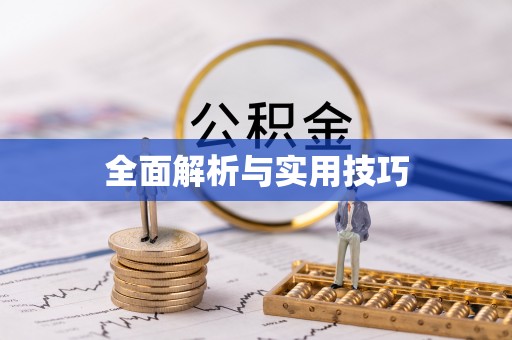 南雄全面解析与实用技巧