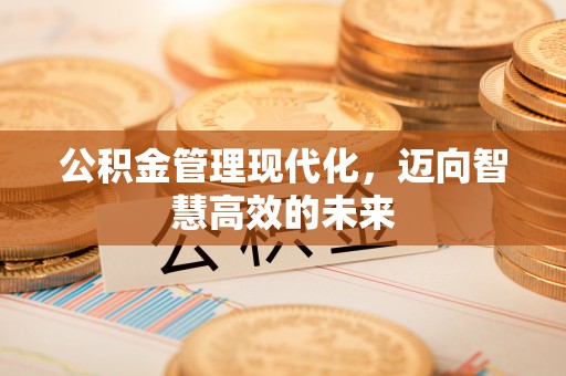 南雄公积金管理现代化，迈向智慧高效的未来