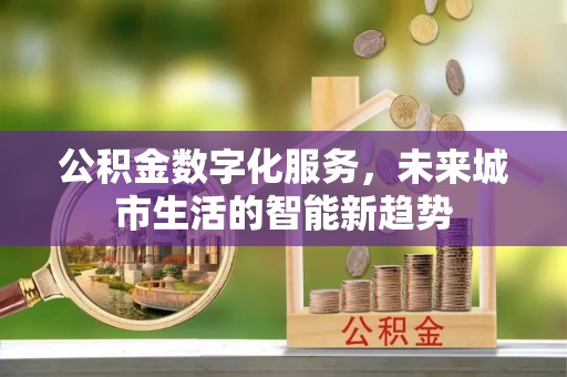南雄公积金数字化服务，未来城市生活的智能新趋势