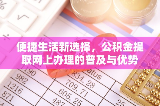 南雄便捷生活新选择，公积金提取网上办理的普及与优势