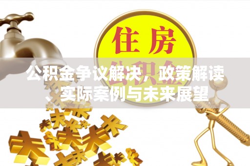 南雄公积金争议解决，政策解读、实际案例与未来展望