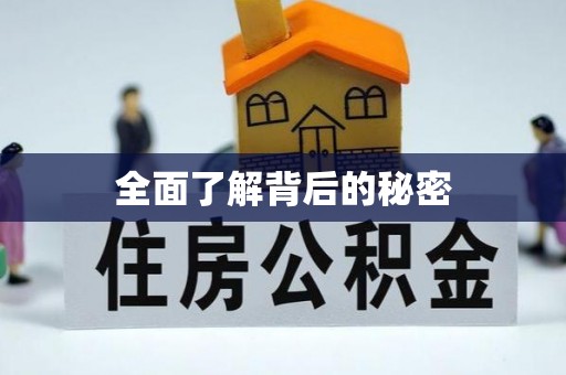 南雄全面了解背后的秘密
