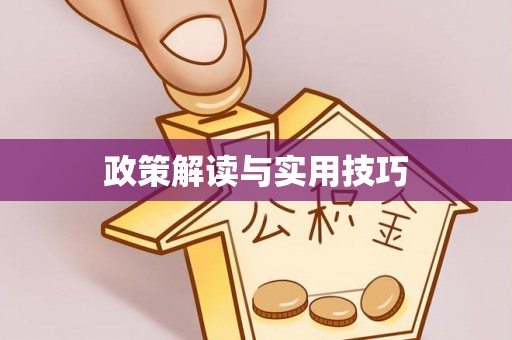 南雄政策解读与实用技巧