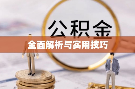 南雄全面解析与实用技巧