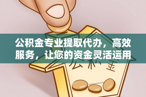 南雄公积金专业提取代办，高效服务，让您的资金灵活运用