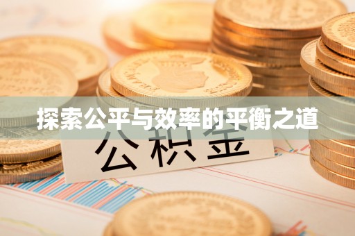 南雄探索公平与效率的平衡之道