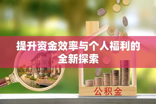 南雄提升资金效率与个人福利的全新探索