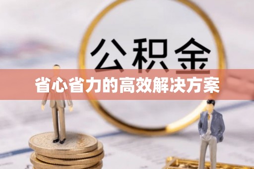 南雄省心省力的高效解决方案