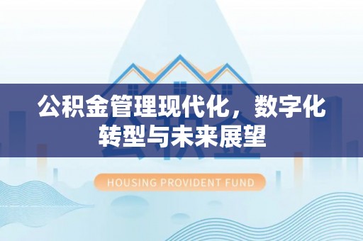 南雄公积金管理现代化，数字化转型与未来展望